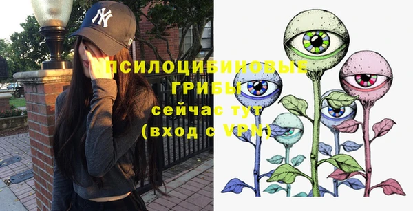 амф Алексин