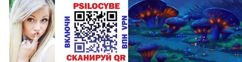 Галлюциногенные грибы Psilocybe  хочу наркоту  сайты даркнета как зайти  Грязовец 